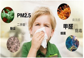 威大椰殼活性炭廠家快速聯系電話:13838587319 孫經理